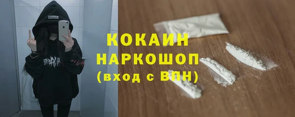 дживик Кулебаки