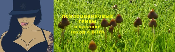jwh Кукмор