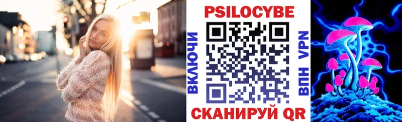 Псилоцибиновые грибы Psilocybe  Купить где  Озёры 